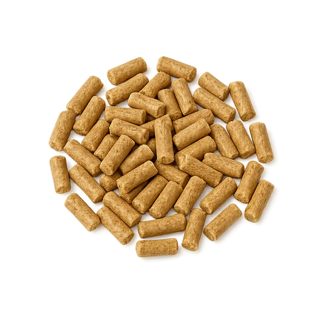 Zanahoria Deshidratada Snack